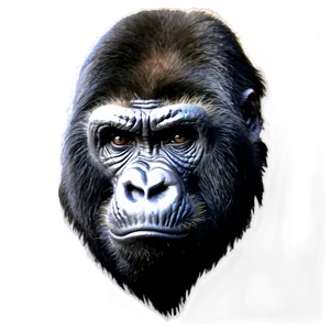 Angry Silverback Gorilla Png 06252024 PNG Image