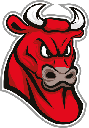 Taurus Png - Bull Png Kangayam, Transparent Png PNG image with transparent background