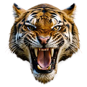 Angry Tiger Roar Png 06252024 PNG Image