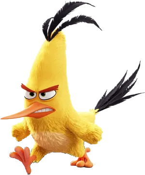 Angry Yellow Bird Cartoon Character PNG Image