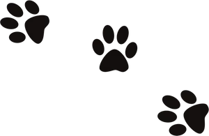 Animal Paw Prints Pattern PNG Image