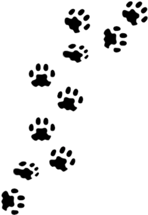 Animal Paw Prints Pattern PNG Image