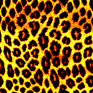 Animal Print Clipart PNG 06252024 PNG