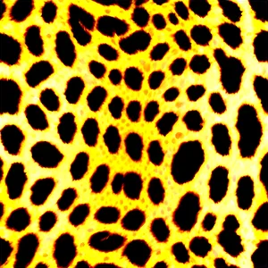 Animal Print Design Png 55 PNG Image