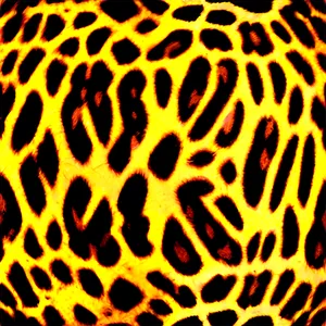 Animal Print Pattern Design Png 06282024 PNG Image