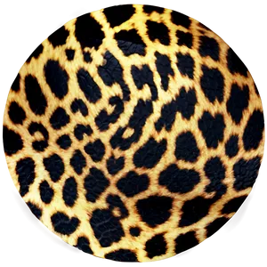 Animal Print Patterns Png 06212024 PNG Image