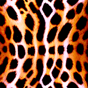 Animal Print Square PNG 06252024 PNG with transparent background