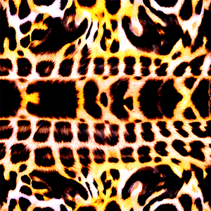 Animal Print Square PNG 06252024 PNG with transparent background