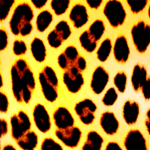 Animal Print Square PNG 3 PNG with transparent background