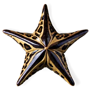 Animal Print Star Png 59 PNG Image