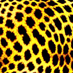 Animal Print Texture PNG 43 PNG with transparent background