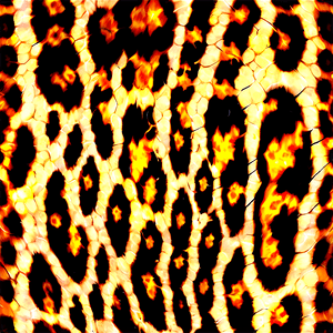 Animal Print Texture PNG 56 PNG with transparent background