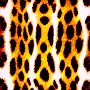 Animal Print Wallpaper PNG 35 PNG with transparent background