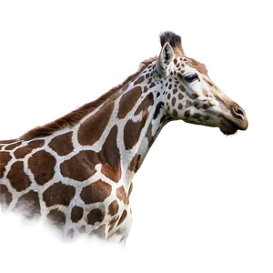 Animal Profile Picture Png Lvg53 PNG Image