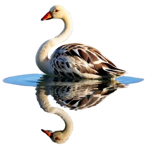 Animal Reflection Png Cgu91 PNG Image