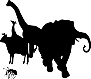 Animals Silhouette Clip - Animals Silhouette Png PNG image with transparent background