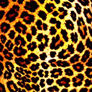 Animal Skin Print PNG 06252024 PNG with transparent background