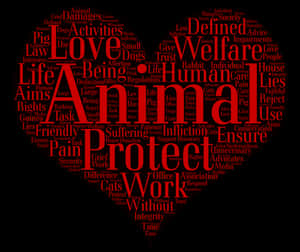 Animal Welfare Word Cloud PNG with transparent background