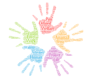 Animal Welfare Word Cloud Art.jpg PNG Image