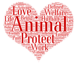 Animal Welfare Word Cloud PNG Image