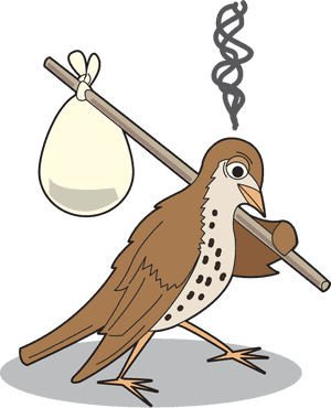 Animated Bird Carrying Egg Sack PNG image with transparent background