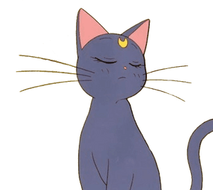 Black-cat - Sailor Moon Cat Transparent, HD Png Download PNG image with transparent background