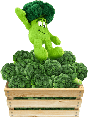 Broccoli Png, Transparent Png PNG image with transparent background