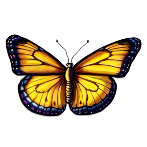 Animated Butterflies PNG 05232024 PNG image with transparent background