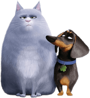 Buddy And Chloe - Secret Life Of Pets Buddy And Chloe, HD Png Download PNG with transparent background