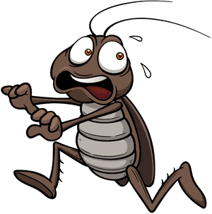 Odorless Non-staining Kills Roaches At The Source Eco - Pest Cartoon, HD Png Download PNG