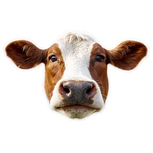 Animated Cow Face Png 56 PNG Image