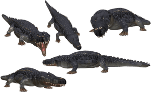 Saltwater Crocodile Png Photo - Spore Crocodile, Transparent Png PNG image with transparent background