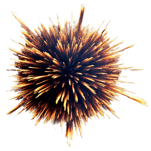 Animated Explosion Effect PNG 66 PNG