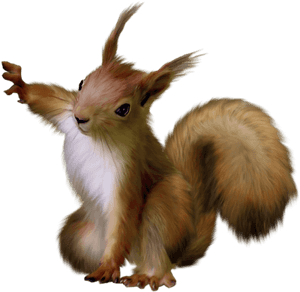 Animated Fluffy Squirrel Illustration PNG image with transparent background