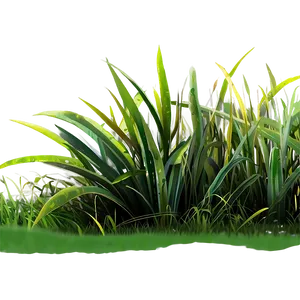 Animated Grass Clipart Png 06122024 PNG Image