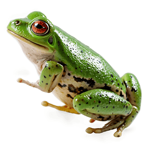 Animated Jumping Frog PNG eck PNG