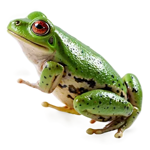 Animated Jumping Frog Png Eck PNG Image