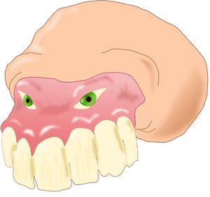 Clip Art Dental Images Png, Transparent Png PNG image with transparent background