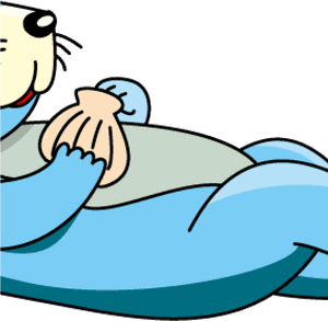 Sea Otter Clip Art Cute Sea Otter Clipart Space Clipart - Sea Otter Black And White, HD Png Download PNG image with transparent background