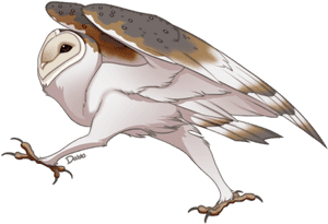 Have You Every Seen An Owl Run - Running Owl PNG image with transparent background