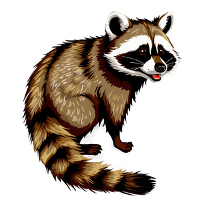 Animated Raccoon PNG 49 PNG image with transparent background