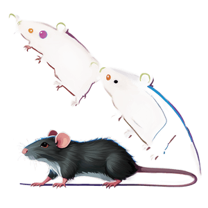 Animated Rat Graphic PNG arg PNG image with transparent background
