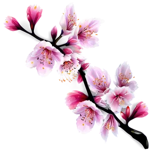 Animated Sakura Flower Png 30 PNG Image