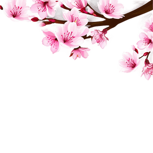 Animated Sakura Flower PNG lbw PNG