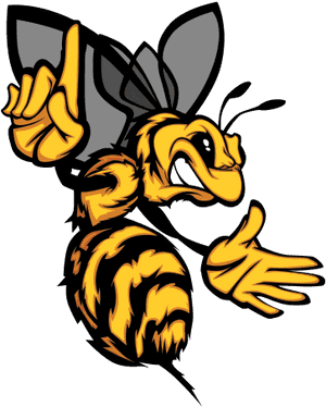 Animated Wasp Character.png PNG