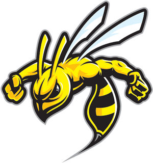 Animated Wasp Mascot PNG