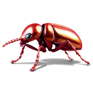 Animated Weevil Design Png 06292024 PNG Image