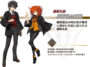 Mage Association Mystic Code, HD Png Download PNG image with transparent background