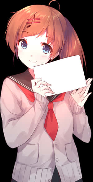 Diversity Promotions, HD Png Download PNG