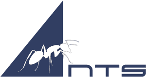 Illustration, HD Png Download PNG image with transparent background